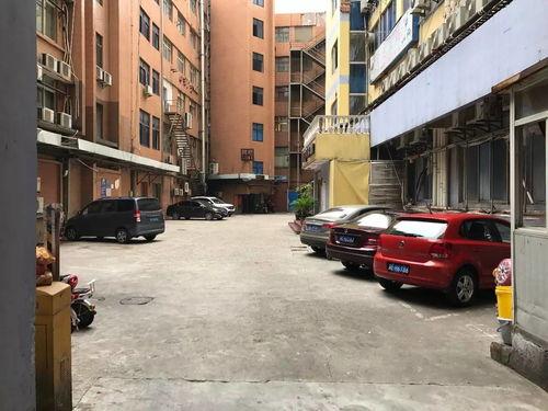 双流步行街爆料视频大全,街头风云，一网打尽  第3张