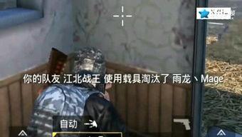 壮哥爆料吃鸡视频播放,精彩瞬间回顾，带你领略绝地求生魅力