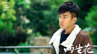 电视剧两生花在线观看全集,穿越时空的爱恋，全集剧情揭秘  第3张